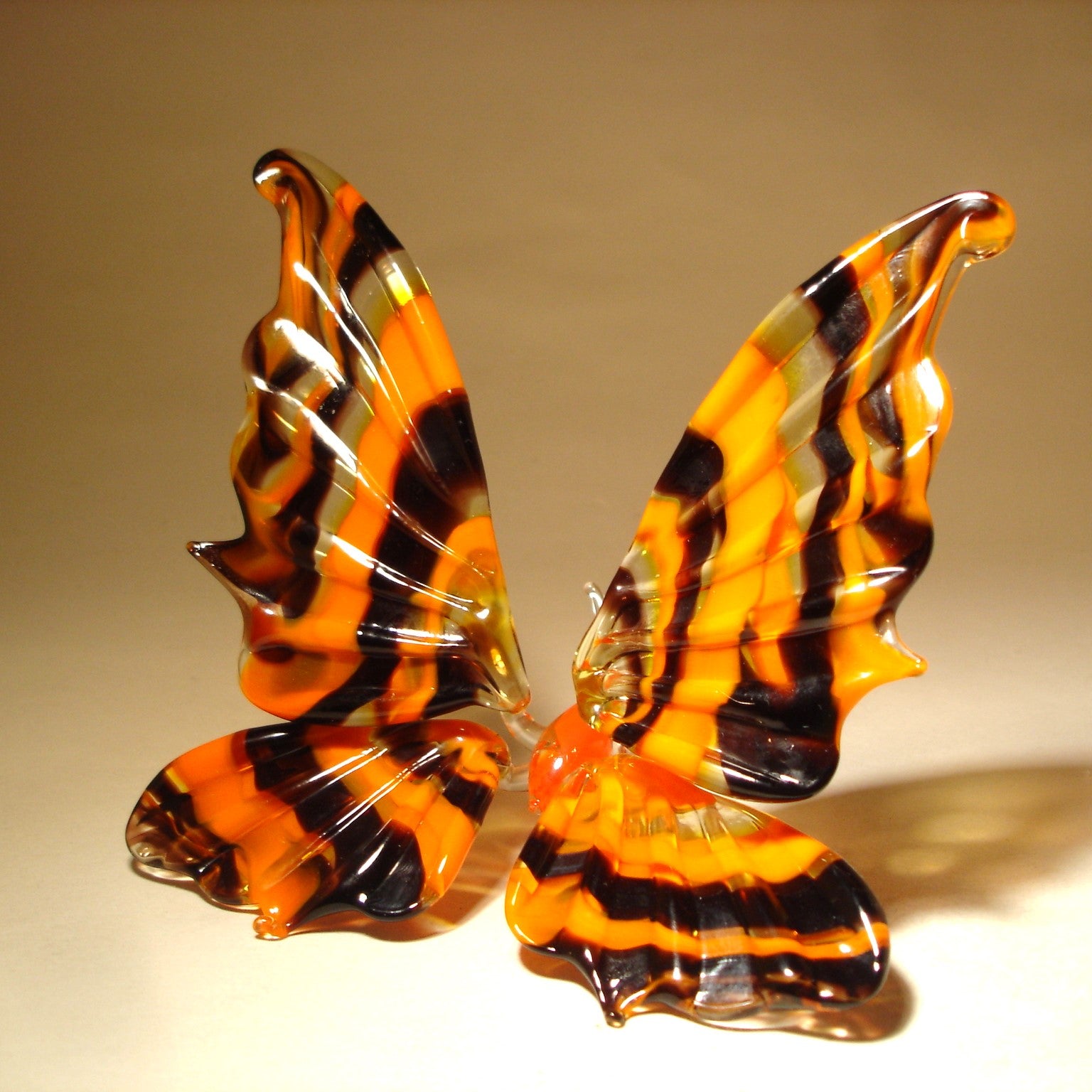 Side view of the striped glass butterfly