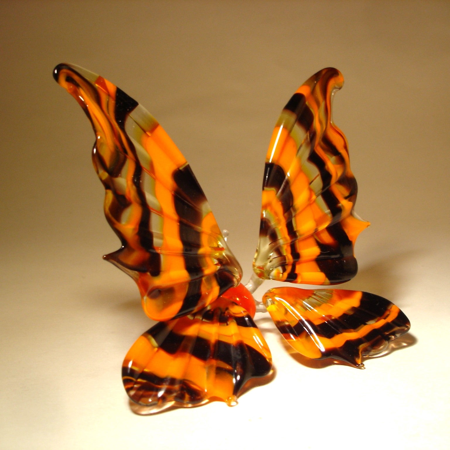 The other side of the glass butterfly