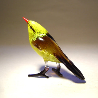 A back view of the yellow bird featuring its brown back and black tail.