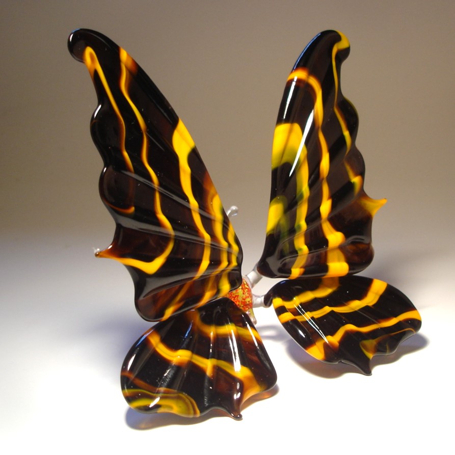 The other side of the glass butterfly