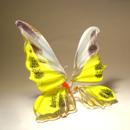 The other side view of the Yellow and white butterfly