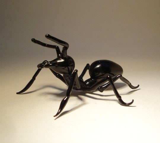 Front view of the glass ant figurine, showcasing its detailed body segments and glossy black finish