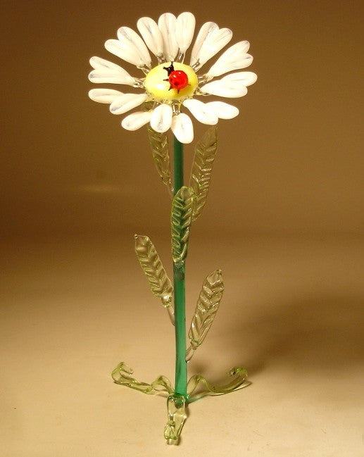 A front view of a glass white daisy figurine, showcasing its delicate white petals and vibrant yellow center, with a small red ladybug perched there. 