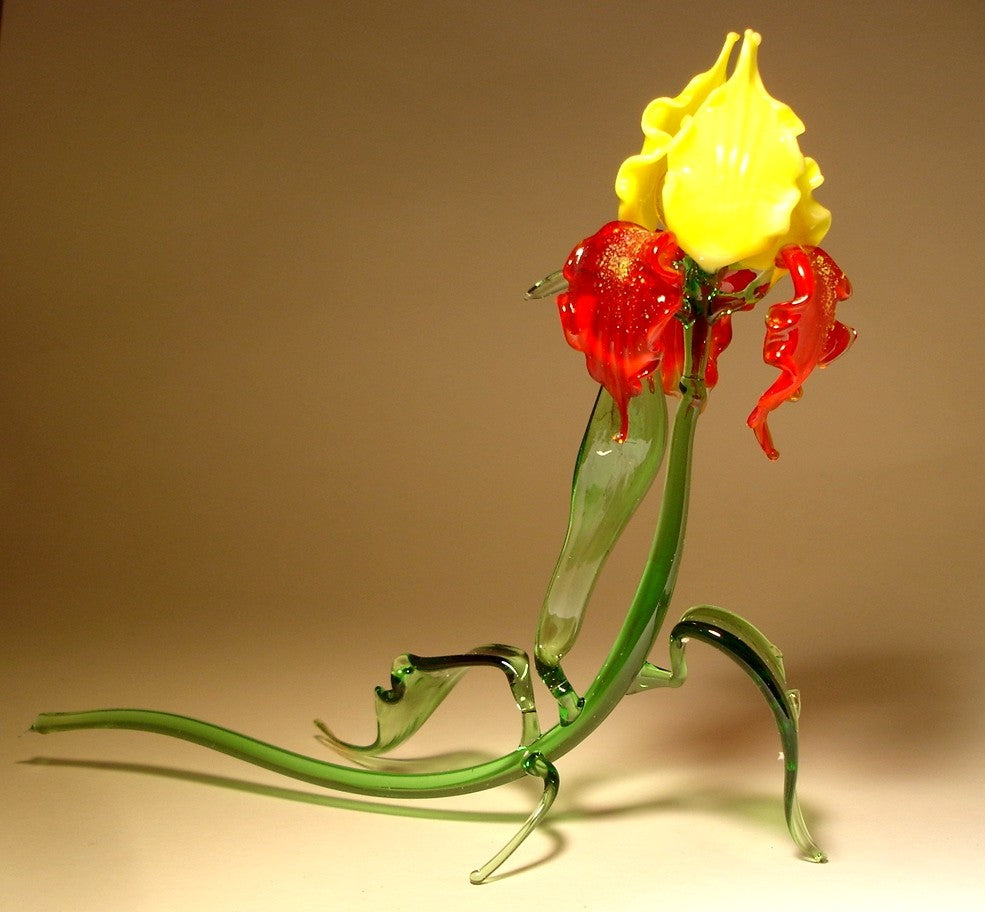 A vibrant glass figurine of a red and yellow iris flower, with delicate petals elegantly fanned out and a slender green stem.