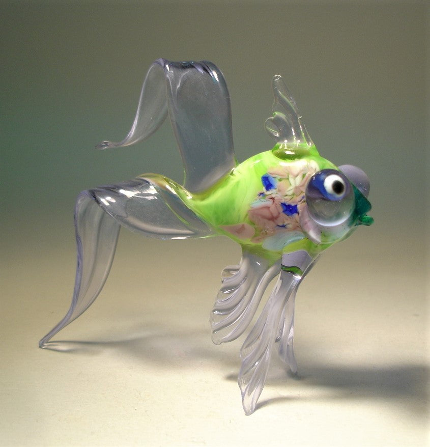 Light blue telescope fish with green body and bulging eyes