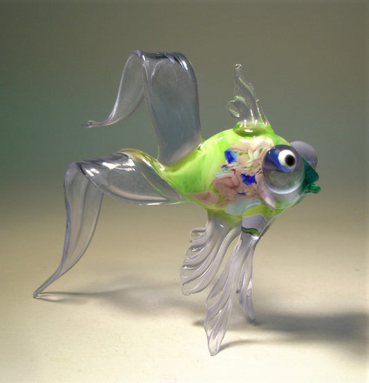 Light blue telescope fish with green body and bulging eyes