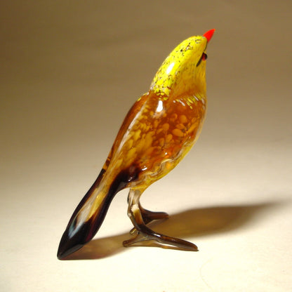 A back view of the yellow bird featuring its brown back and black tail.